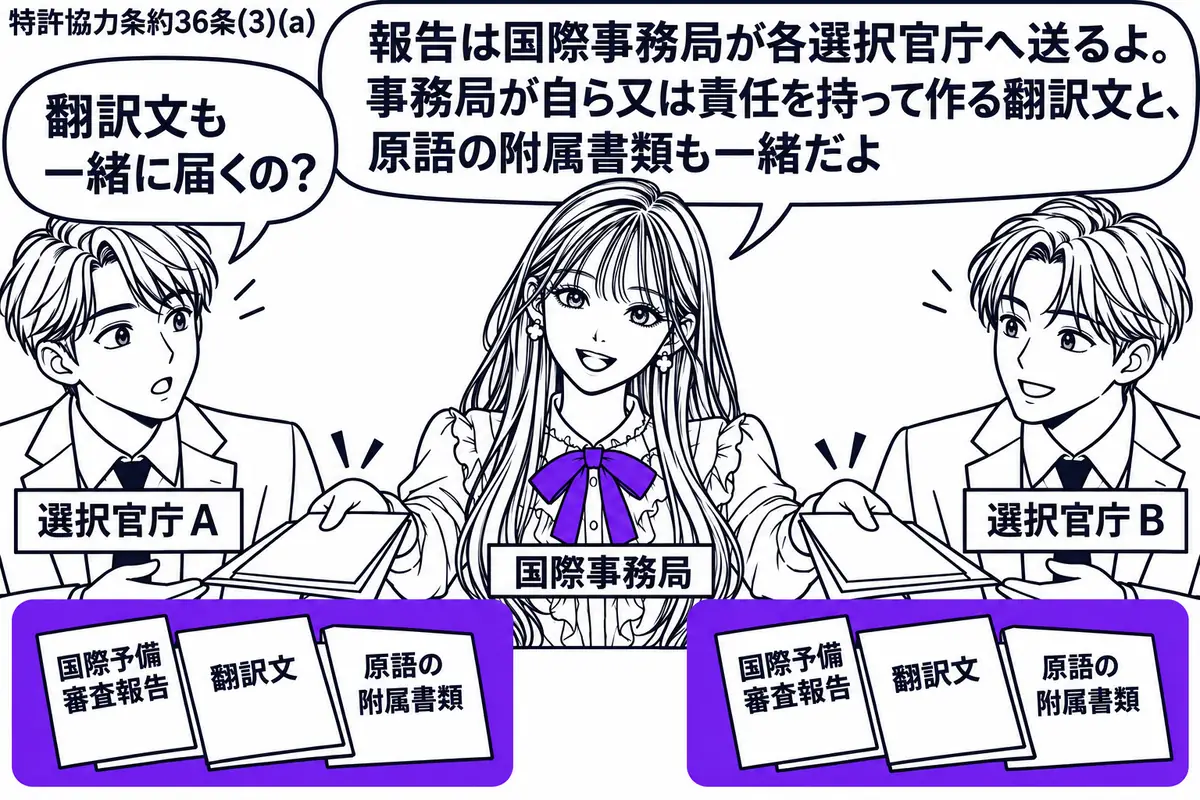 先生が中央で国際事務局役(札「国際事務局」)。机に国際予備審査報告、翻訳文、原語の附属書類を重ね、三点の書類一式をヴァイオレットの枠で囲む。左右の担当者(札「選択官庁A」「選択官庁B」)へ同じ一式を渡す。先生の吹き出し「報告は国際事務局が各