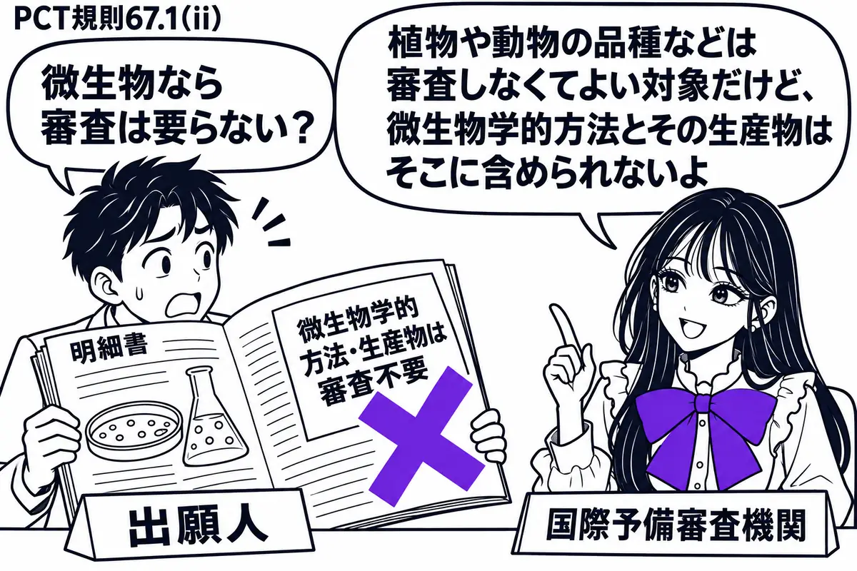 先生が右の審査机に座る役（札「国際予備審査機関」）。左の男性（札「出願人」）が培養容器の図を載せた明細書を開く。その上の付箋「微生物学的方法・生産物は審査不要」に大きなヴァイオレットの×印。先生の吹き出し「植物や動物の品種などは審査しなくて