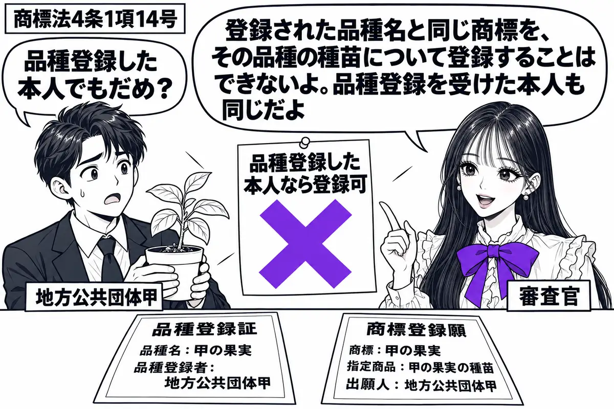 先生が審査官役（札「審査官」）で右に立つ。左の担当者（札「地方公共団体甲」）が果物の苗を抱え、机には甲の品種登録証と商標登録願。願書には品種名と同じ商標、指定商品にはその品種の種苗を記す。付箋「品種登録した本人なら登録可」にヴァイオレットの