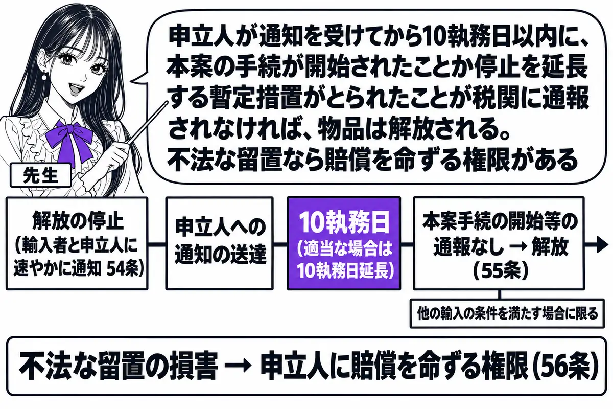 横軸の時系列を中心にした図。先生が先生役（札「先生」）で横軸の上に立ち、指し棒で札を示している。横軸の左から札「解放の停止（輸入者と申立人に速やかに通知 54条）」「申立人への通知の送達」「10執務日（適当な場合は10執務日延長）」「本案手