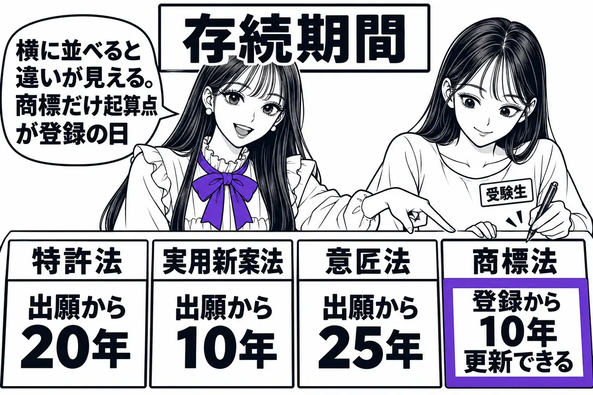 同じ論点を4法で横に並べると、存続期間は商標だけ起算点が登録の日で更新できるといった違いが一度に見える